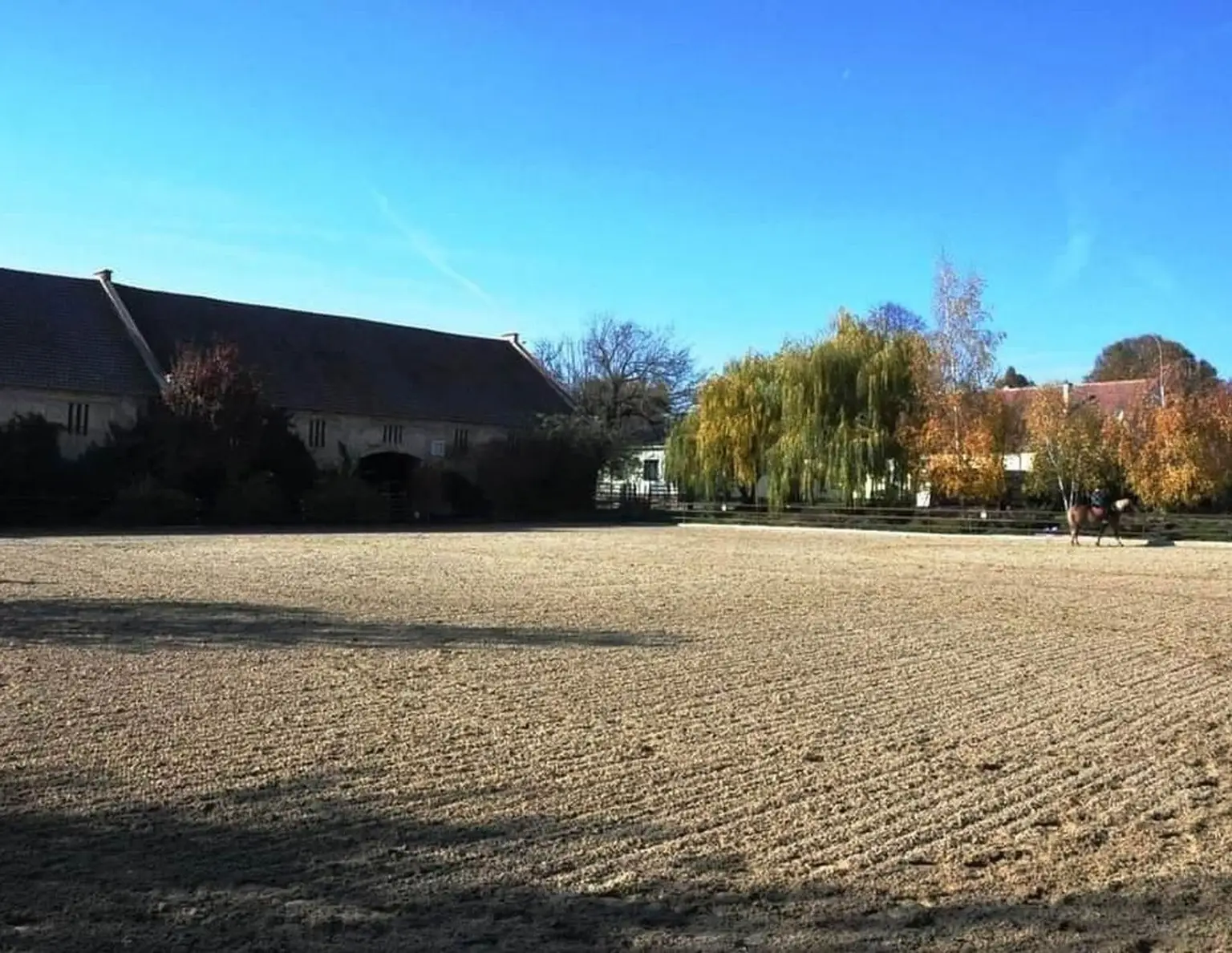 Reitgut Schloß Niederabsdorf