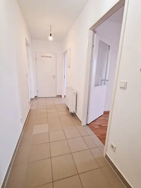 TERRASSENHIT, 61 m2 Dachgeschoß mit 48 m2 Terrasse, Wohnküche, 1 Zimmer, Wannenbad, Parketten, Fernblick, Holbeingasse