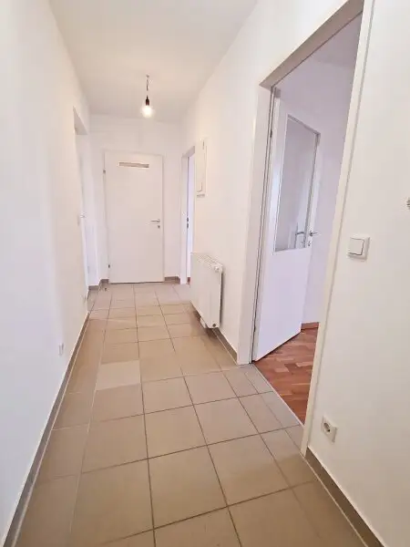 TERRASSENHIT, 61 m2 Dachgeschoß mit 48 m2 Terrasse, Wohnküche, 1 Zimmer, Wannenbad, Parketten, Fernblick, Holbeingasse