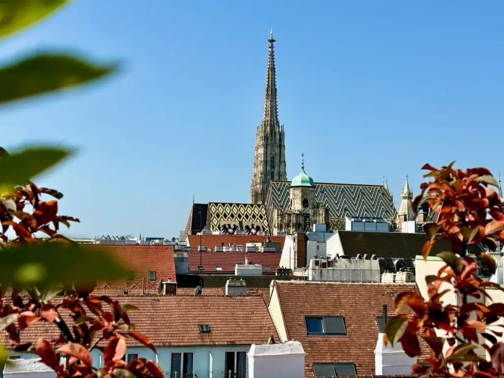 DG-WOHNUNG MIT PRIVATER TERRASSE NÄHE STEPHANSPLATZ