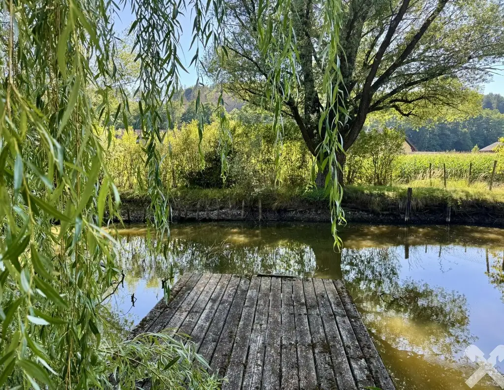 Idyllisch Leben - Grundstück mit altem Baumbestand und Teich