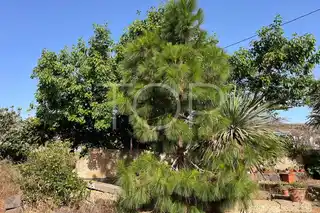Wohngrundstück-La-Laguna-xxx-Teneriffa16
