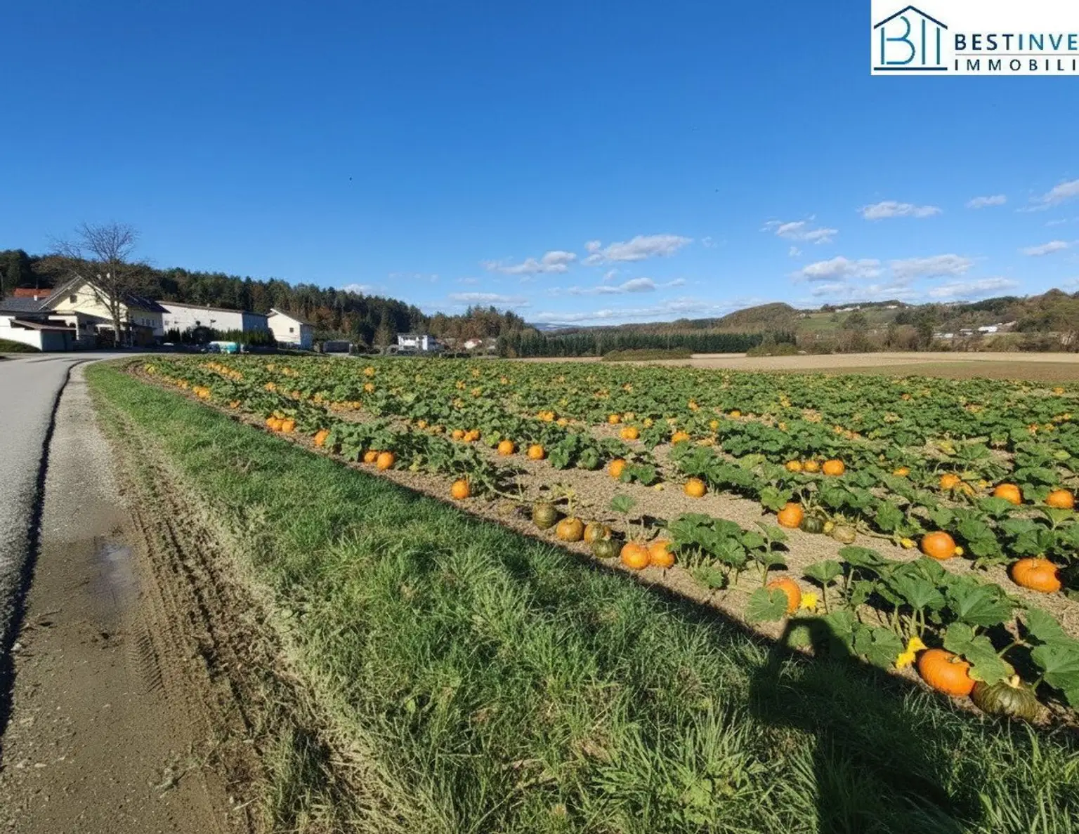 Ackerland sehr gut erschlossen.