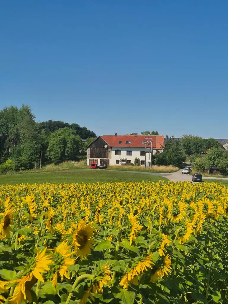 Ein- oder Mehrfamilienhaus samt Nebengebäuden im Bauland-Betriebsgebiet