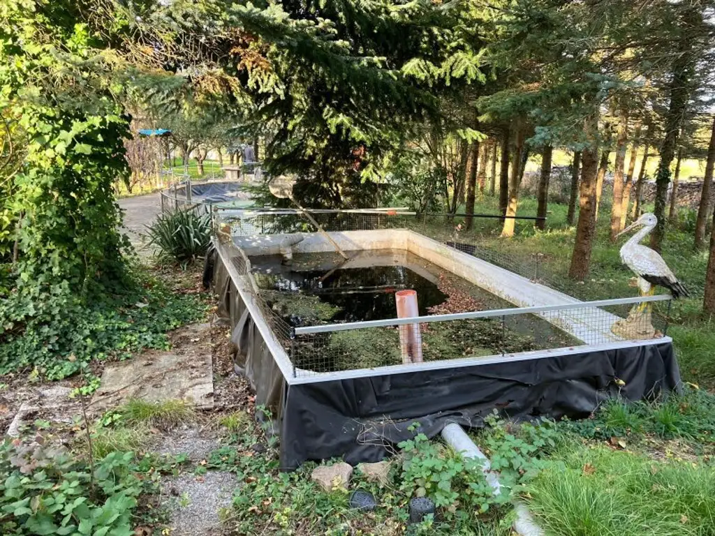+++Charmantes Mehrfamilienhaus mit weitläufigem Naturgarten und vielseitigen Nutzungsmöglichkeiten!+++