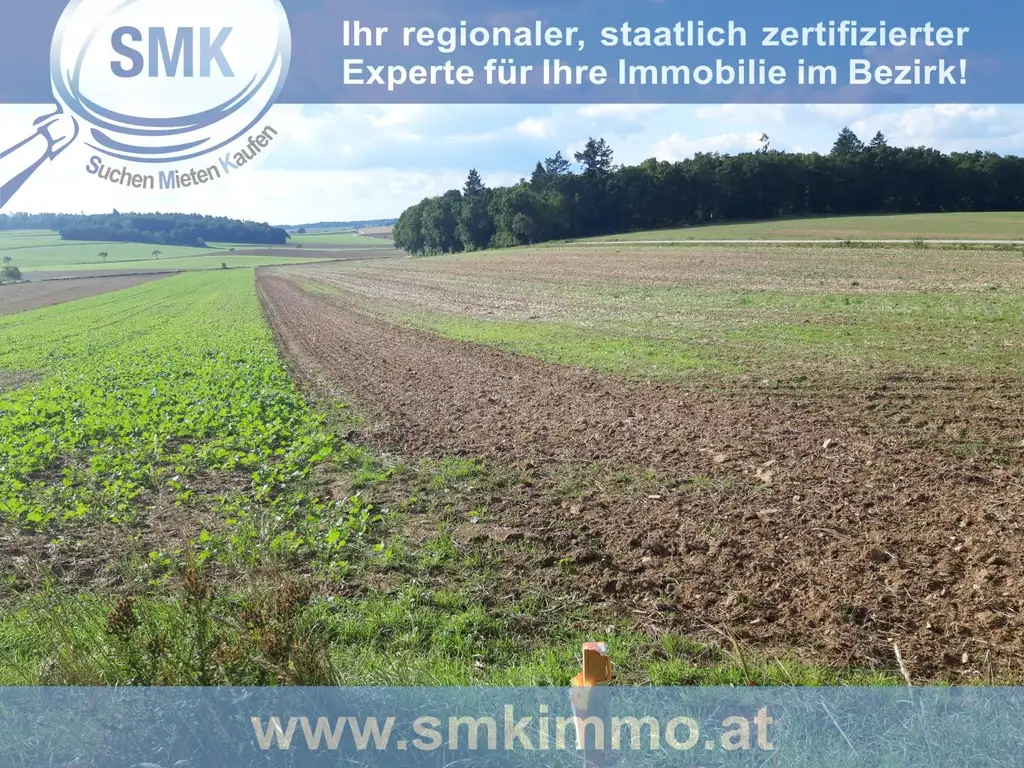 Acker bei Maissau - 3,42 ha landwirtschaftliche Nutzfläche!