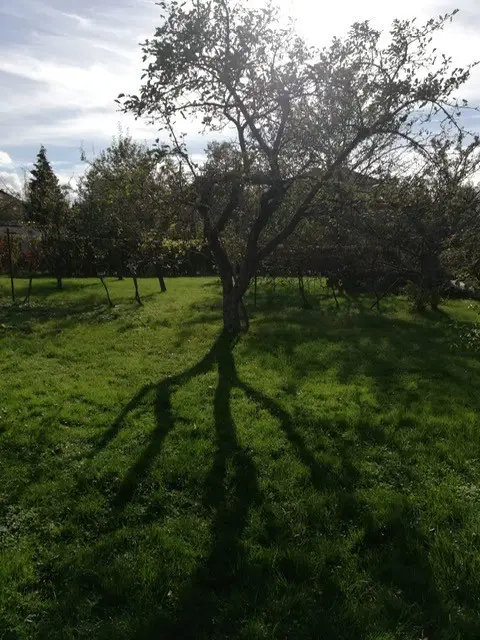 mehr Eindrücke