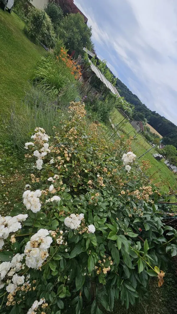 ** Traumhaftes Wohlfühlhaus in ländlicher Idylle trifft Stadtnähe  - nur 15km nach Graz **  Familienparadies mit erstklassiger Infrastruktur **