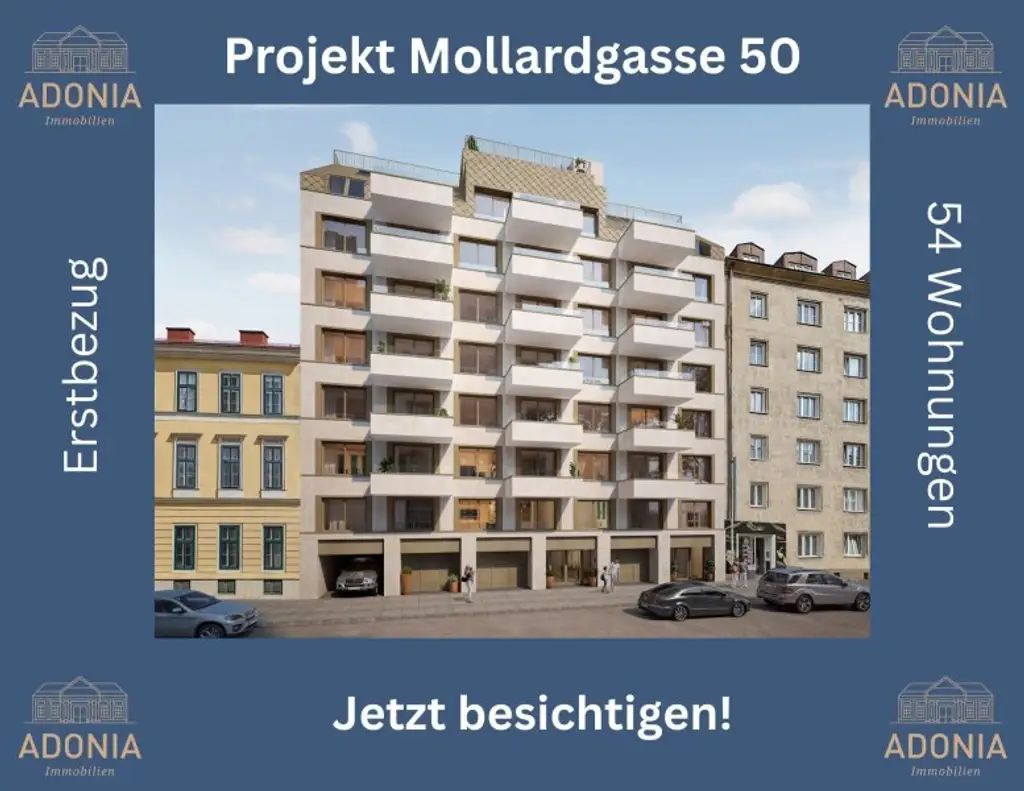 ++MOLLARD 50++ perfekte 2-Zimmer-Wohnung mitten im Herzen der Stadt (2/9)