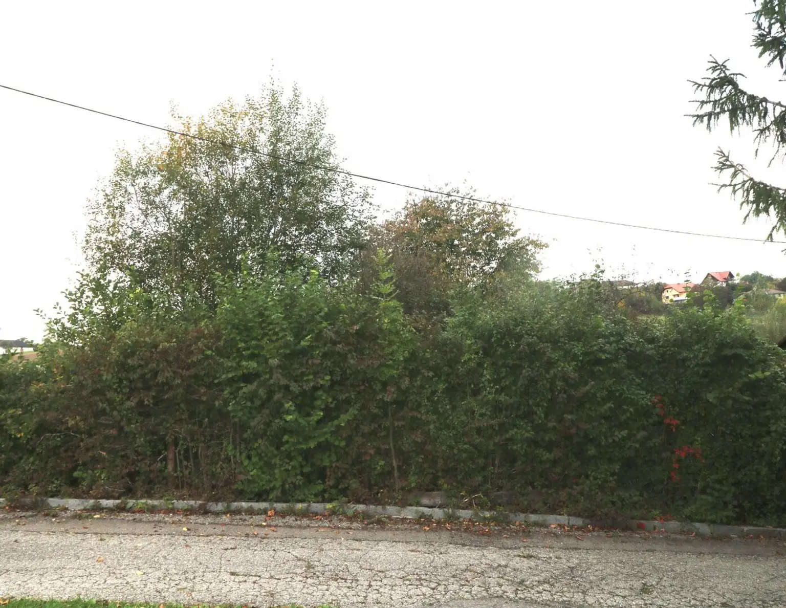 Baugrundstück in ruhiger Lage in Wolfern - kein Bauzwang, kein Bebauungsplan