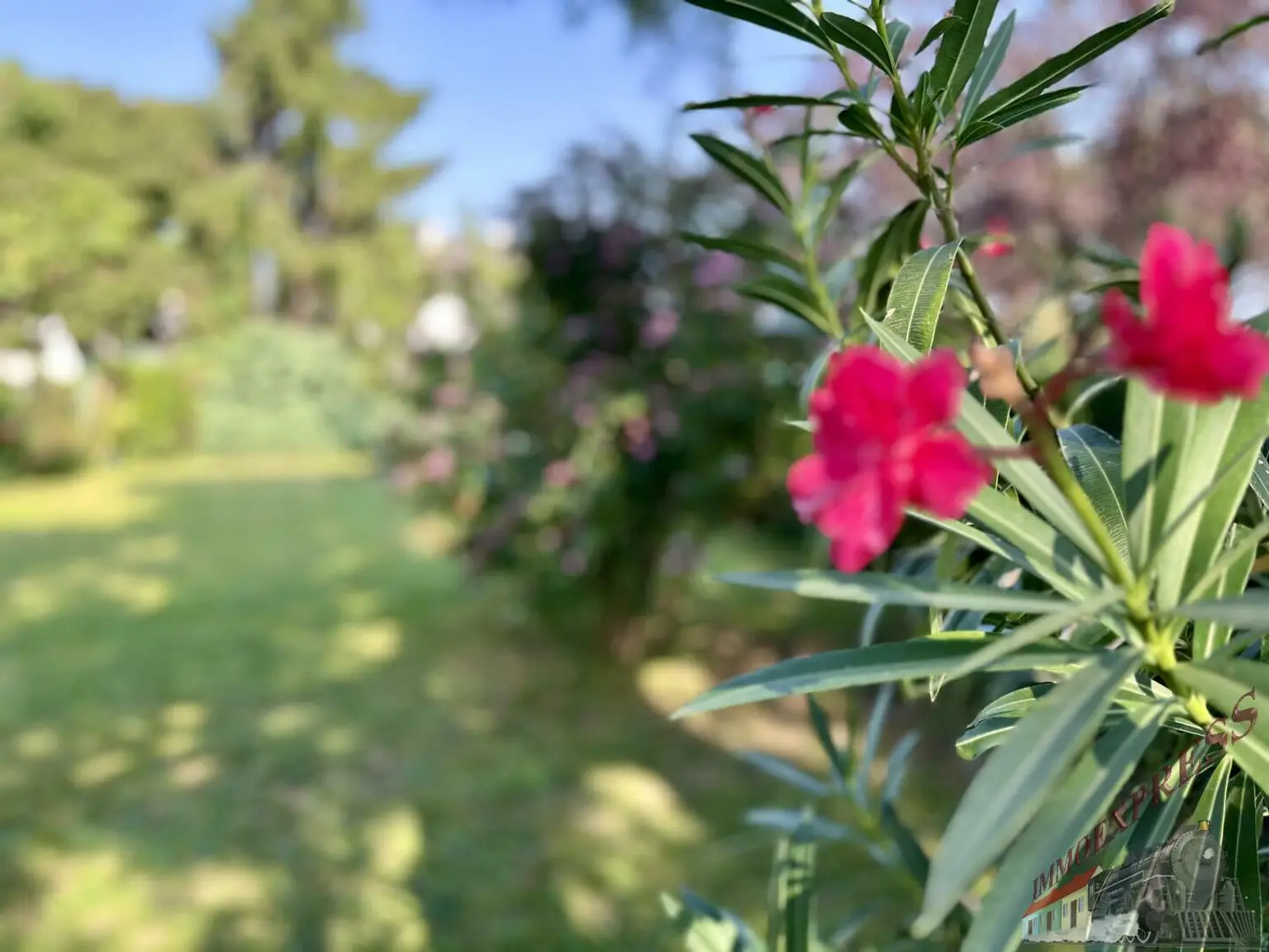 4-Zimmer-Dachgeschoß-Wohnung PLUS Garten im Naturparadies