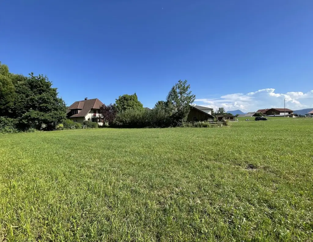 Traumhaftes Grundstück in Zell am Moos - 1120m² für Ihr Bauprojekt!
