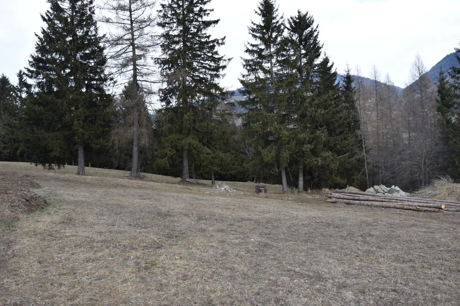 Blick zum Frankenberg