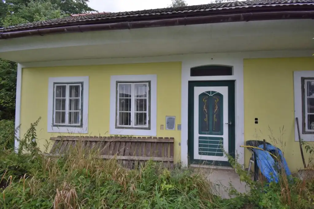 Bastlerhit: Haus mit landwirtschaftl. Flächen