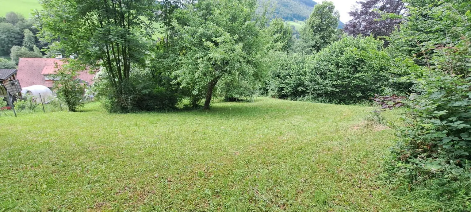 Grundstück
