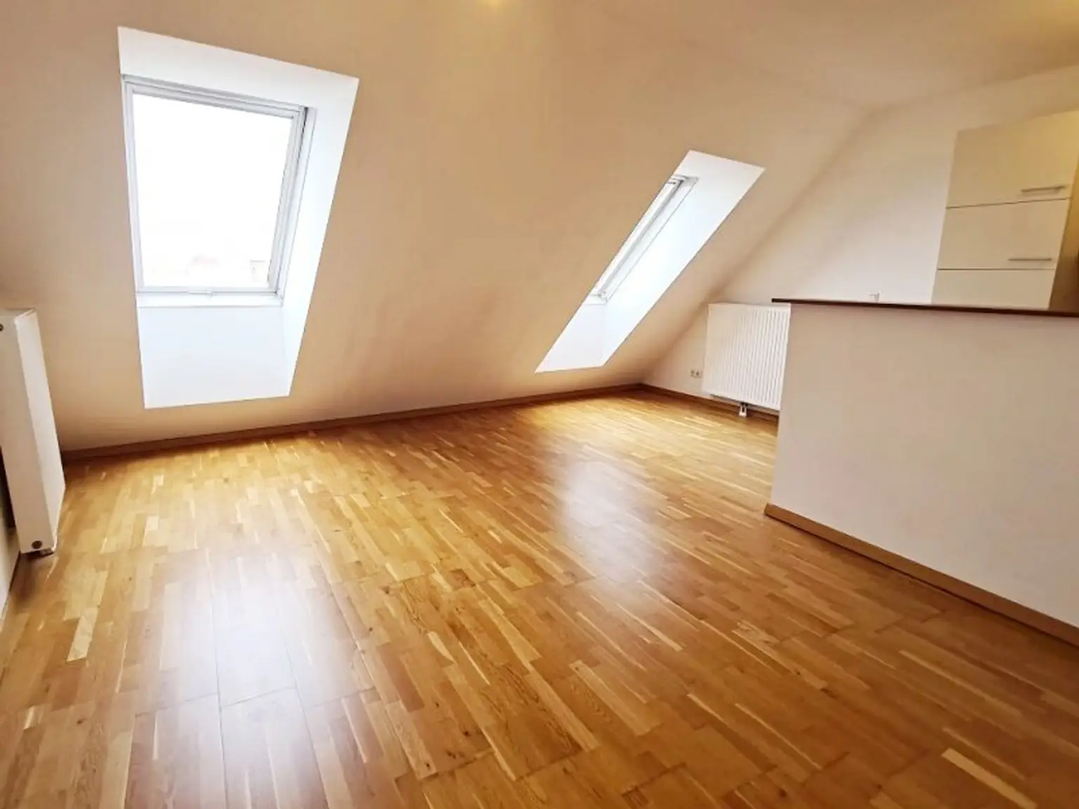 TERRASSENHIT, 61 m2 Dachgeschoß mit 48 m2 Terrasse, Wohnküche, 1 Zimmer, Wannenbad, Parketten, Fernblick, Holbeingasse