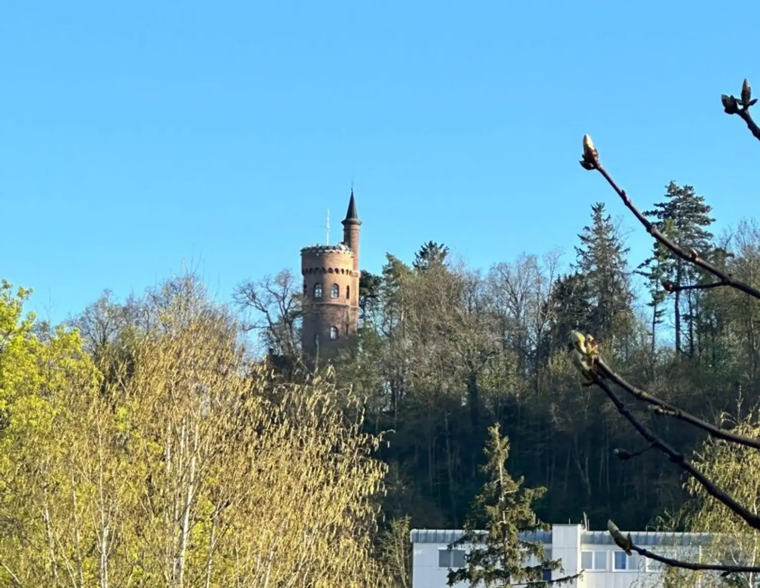 BAUTRÄGERGRUNDSTÜCK in absoluter ZENTRUMSLAGE - REVITALISIERUNG als auch NEUBAU möglich
