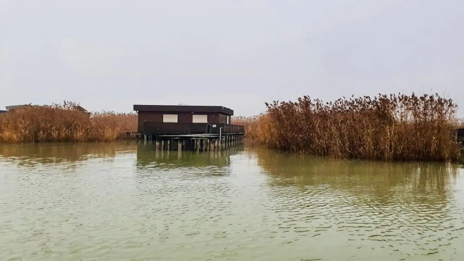 PRIVATSPHÄRE und FLIESSWASSER - FLACHDACHHÜTTE IN DER RUSTER BUCHT AUF PACHTGRUND ZU KAUFEN