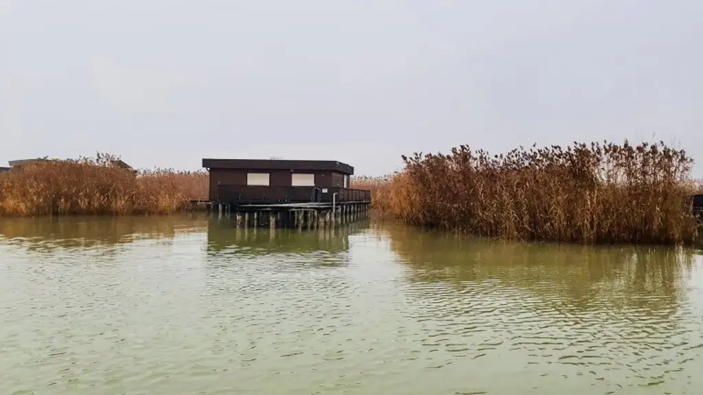 PRIVATSPHÄRE und FLIESSWASSER - FLACHDACHHÜTTE IN DER RUSTER BUCHT AUF PACHTGRUND ZU KAUFEN