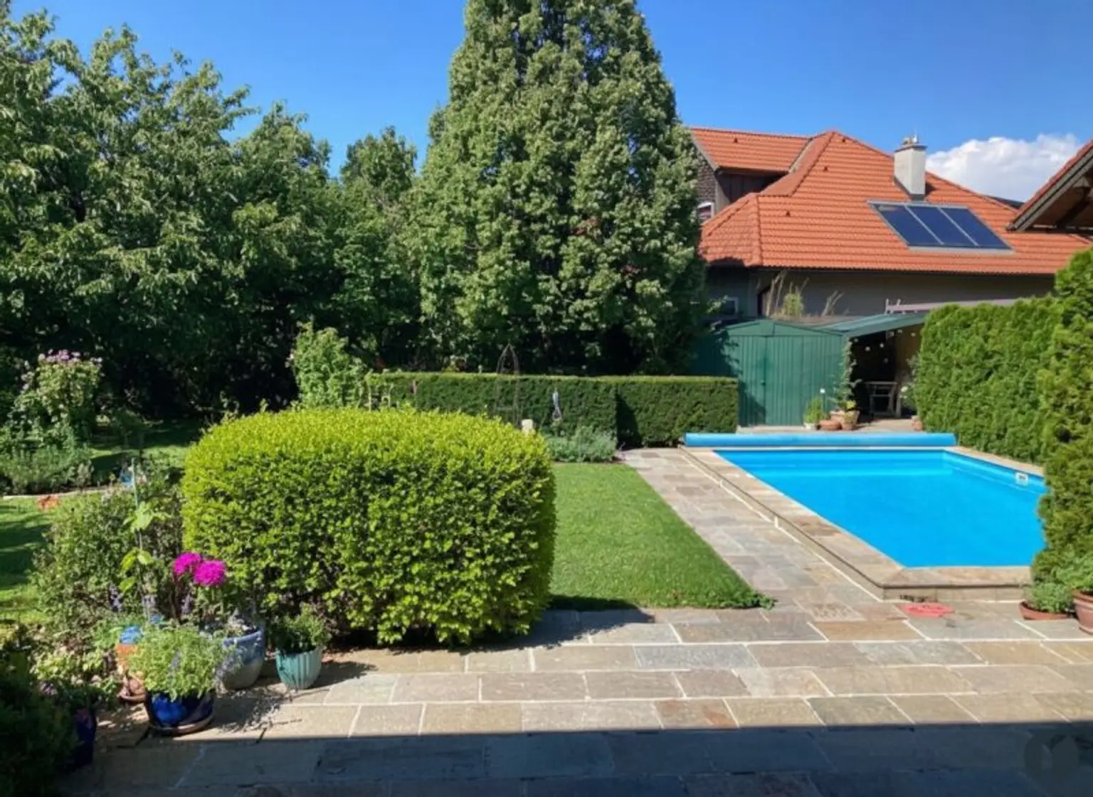 Garten mit Pool im Sommer