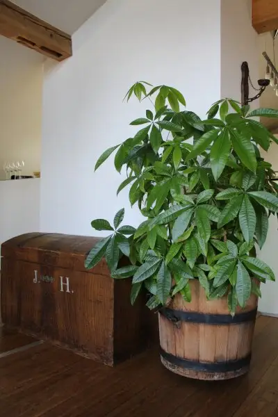 Modernes Penthouse mit Garten und Blick über das Inntal!