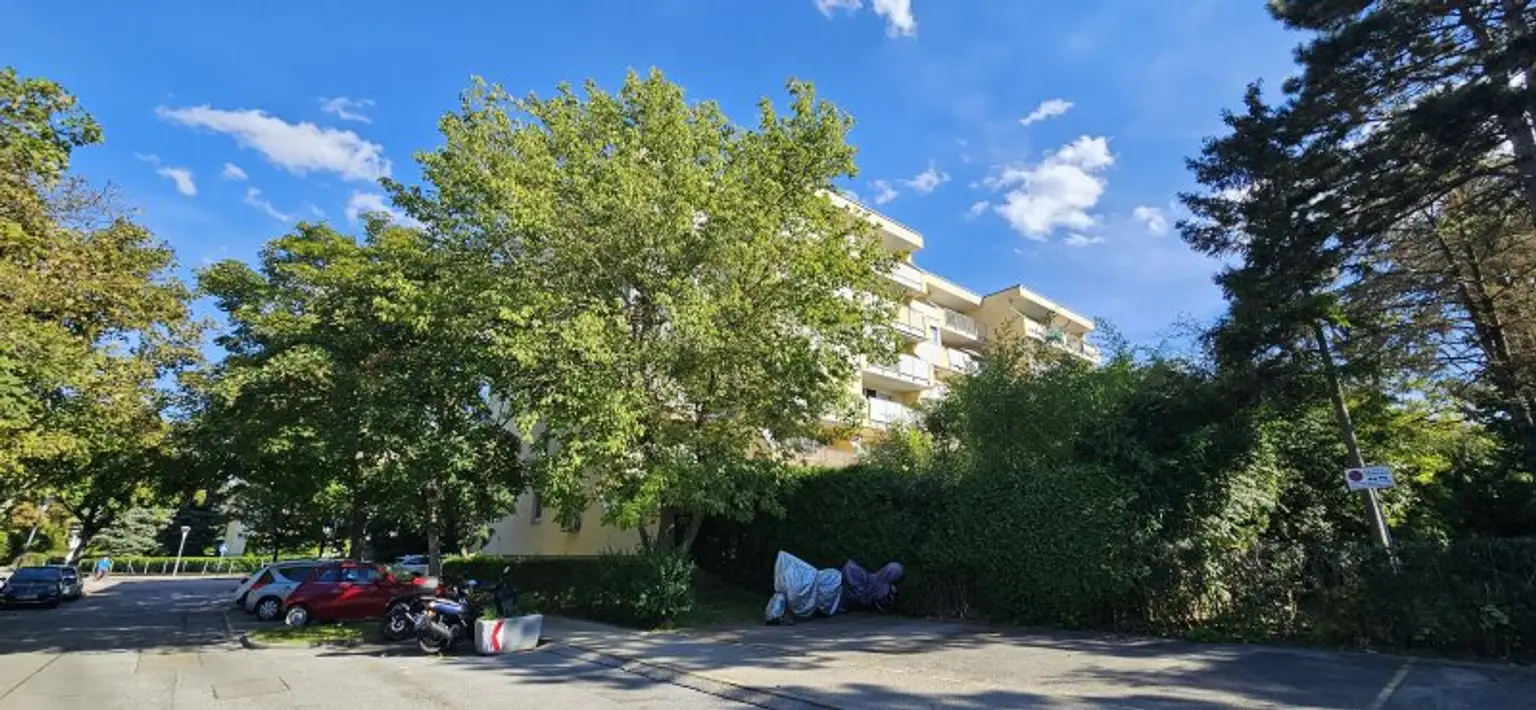 PROVISIONSFREI - Sehr heimelige und großzügige Wohnung im Herzen von Biedermannsdorf