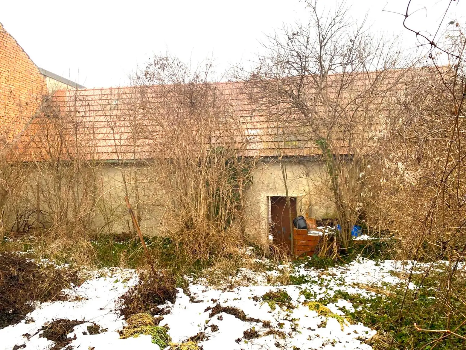 Scheune Rückseite Ansicht