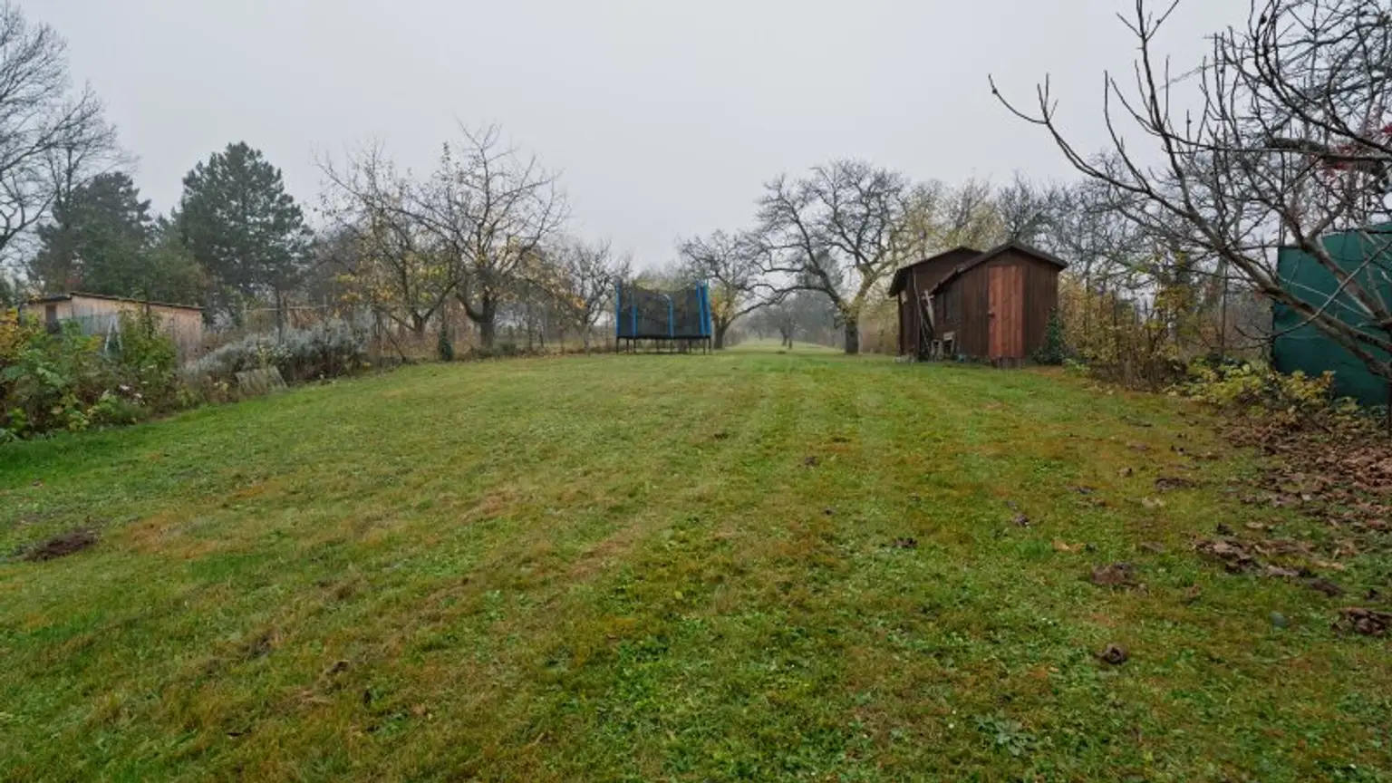 Traumhaus mit großem Garten