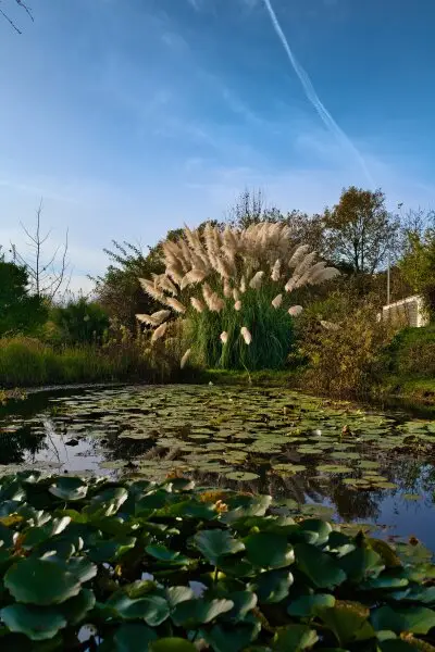 Rückzugsort am Land auf 200m² Wohnfläche, 4 Zimmer alle mit Fern- und Grünblick auf Traumlandschaft!