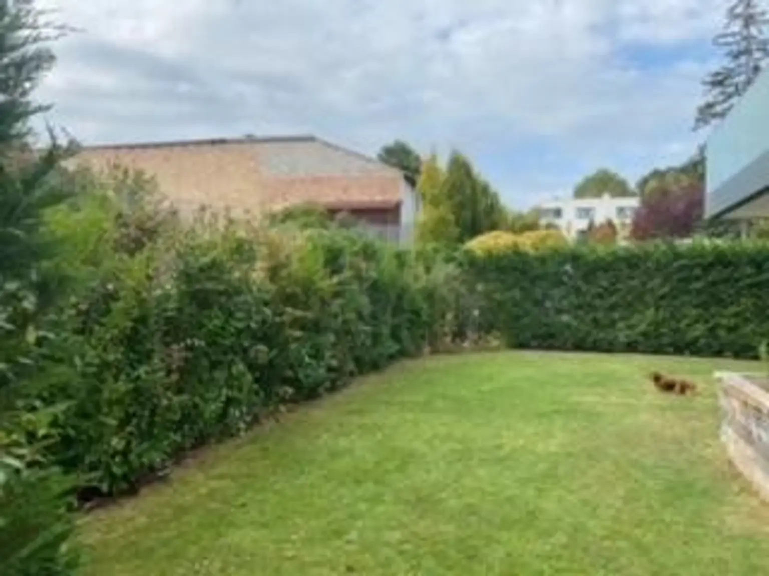 Traumhafte Gartenwohnung in Hofruhelage - vis á vis Schlosspark Maria Enzersdorf