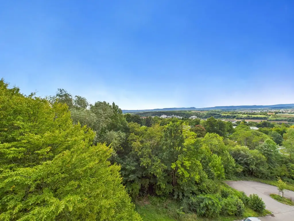 Ideal f. Singles oder Senioren. Top Lage, traumhafte Aussicht, Balkon, Aufzug, TG,bodentiefe Fenster