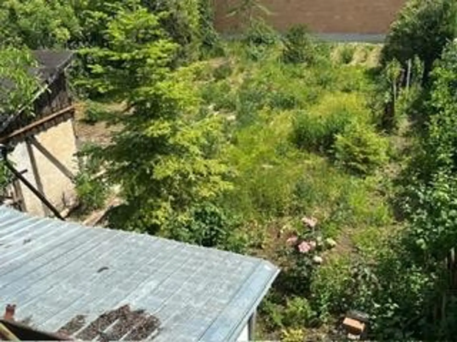 12 Garten