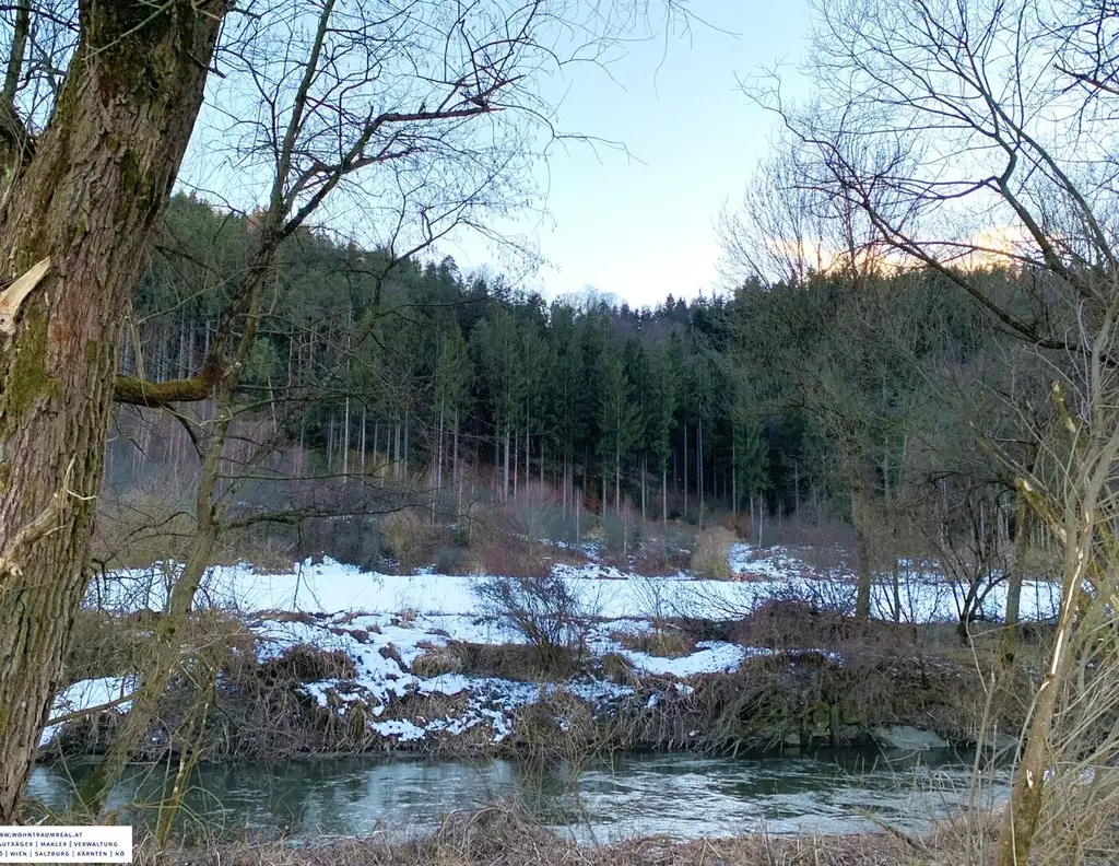 Waldgrundstück (4,26 ha) in Weitendorf zu verkaufen