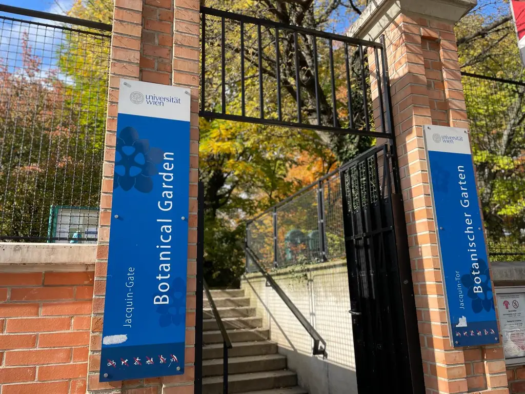 3 Zimmer mit Balkon, komplett neues Bad und WC