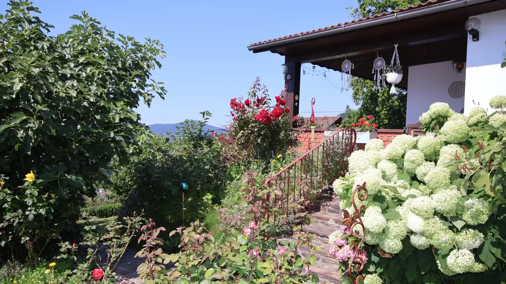 Wohnen wo andere Urlaub machen - Haus mit Traumaussicht nahe Stubenbergsee