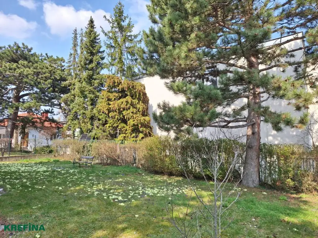 Rarität - Dekorativer Fassadenschmuck aus den 1930er Jahren - Nahe Maurer Wald und Lainzer Tiergarten