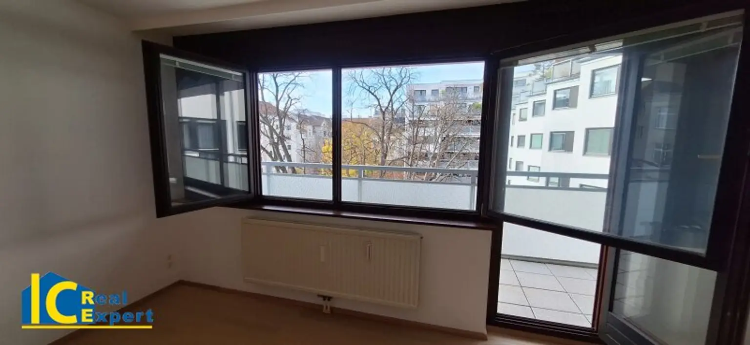 Blick in die Baumkronen