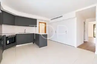 Atanaus C502