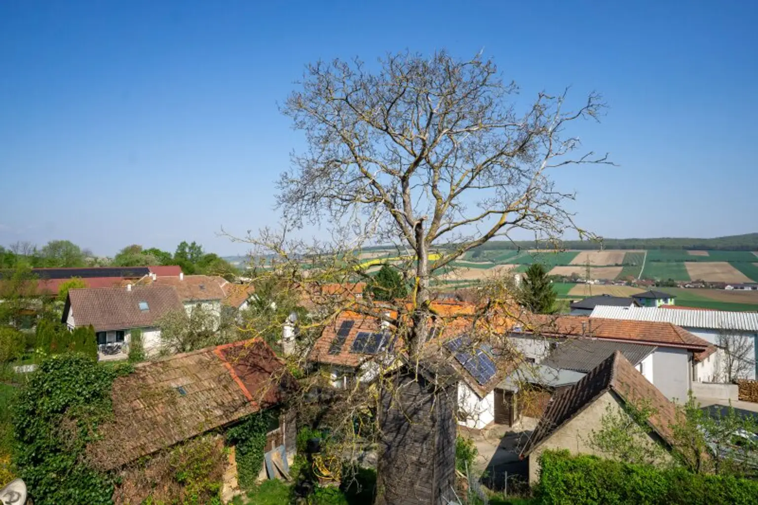 Ausblick Westterrasse