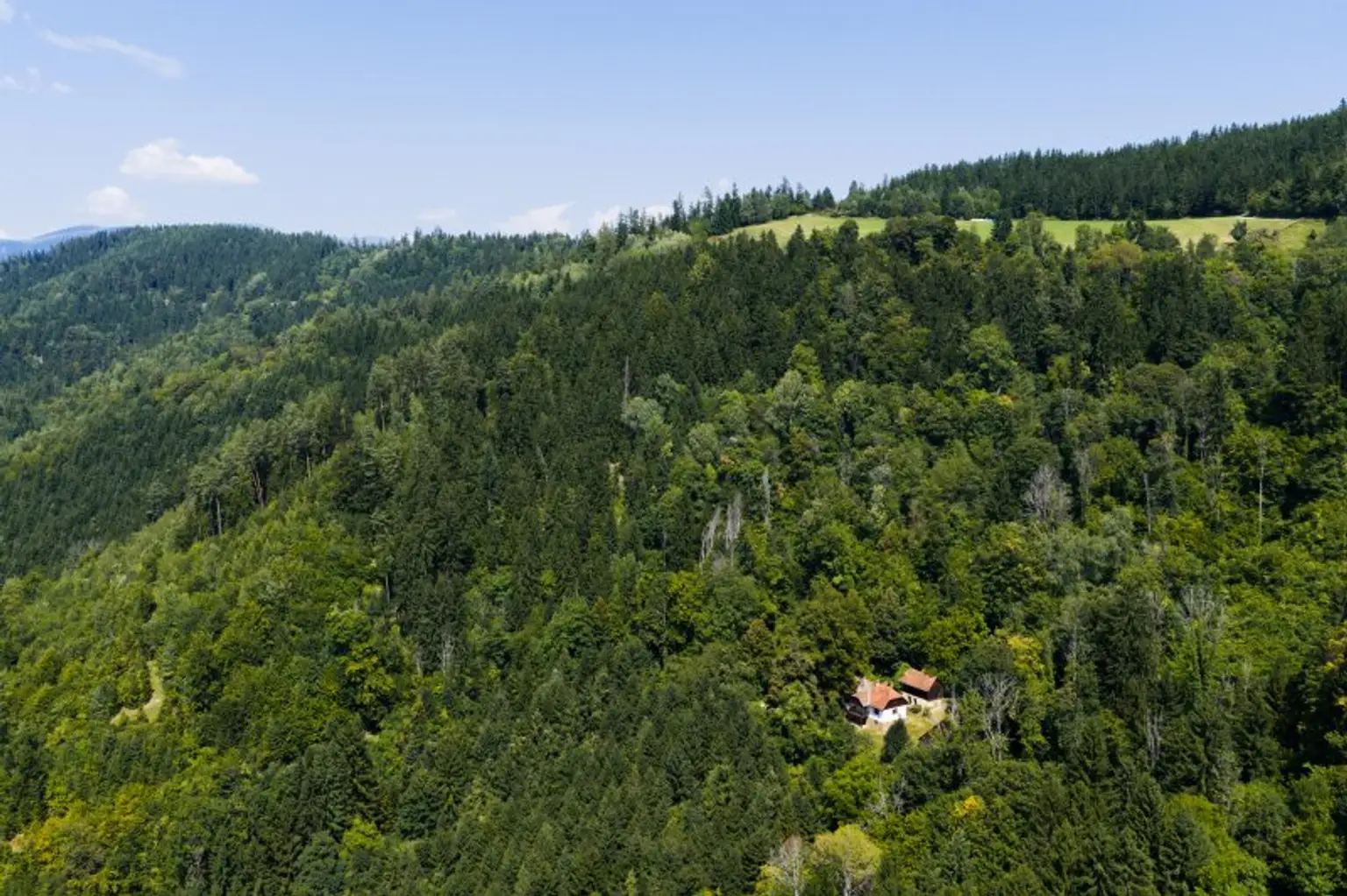 Idyllisch gelegenes Bauernanwesen und Kraftplatz unweit von Graz.