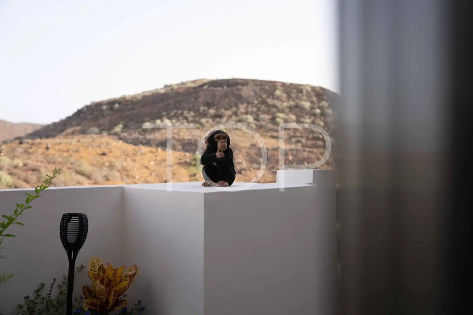 Jardines-de-Los-Menceyes-Penthouse-Mono-Palm-Mar-Tenerife