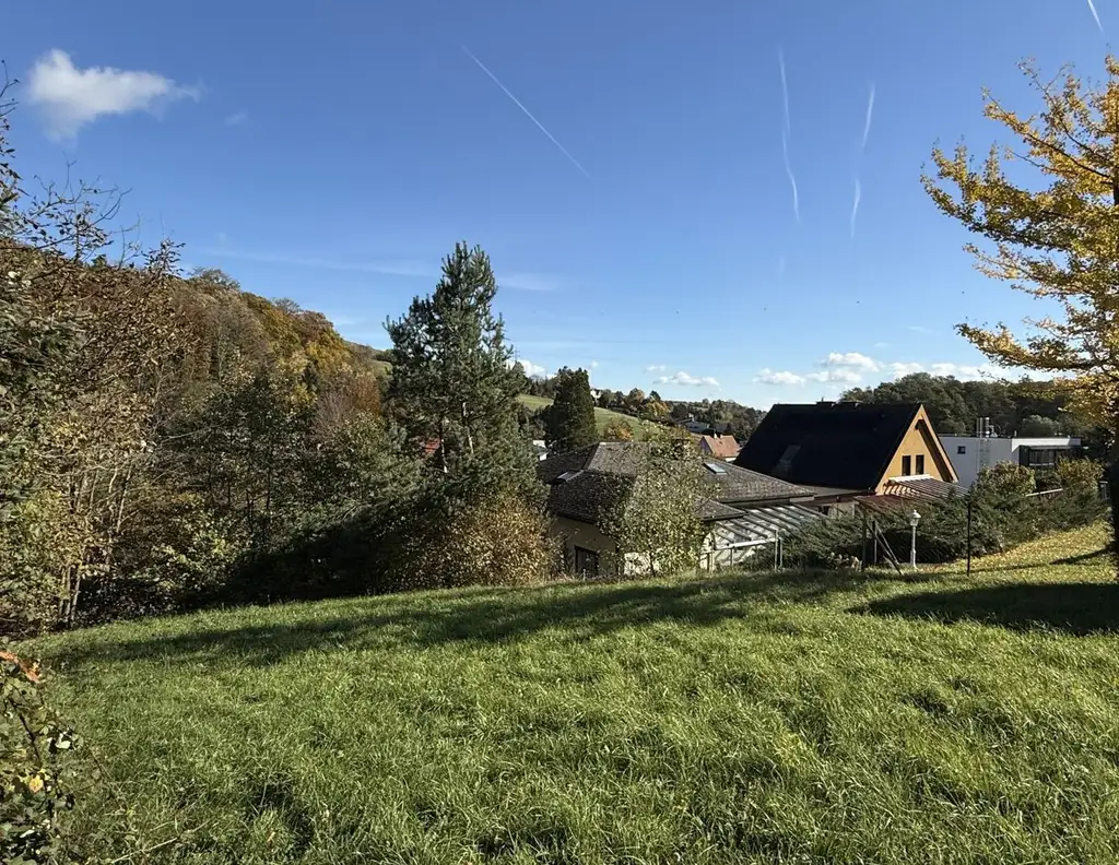 Wo der Morgen nach Wald duftet!