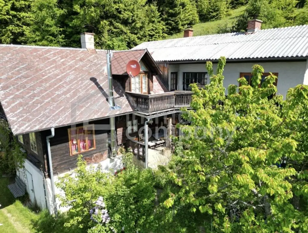 Doppelhaus-Ensemble in traumhafter Höhenlage!