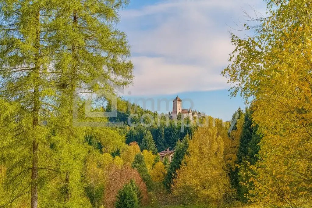 Zwischen Burgblick und Waldesruh – ein Zuhause mit Geschichte