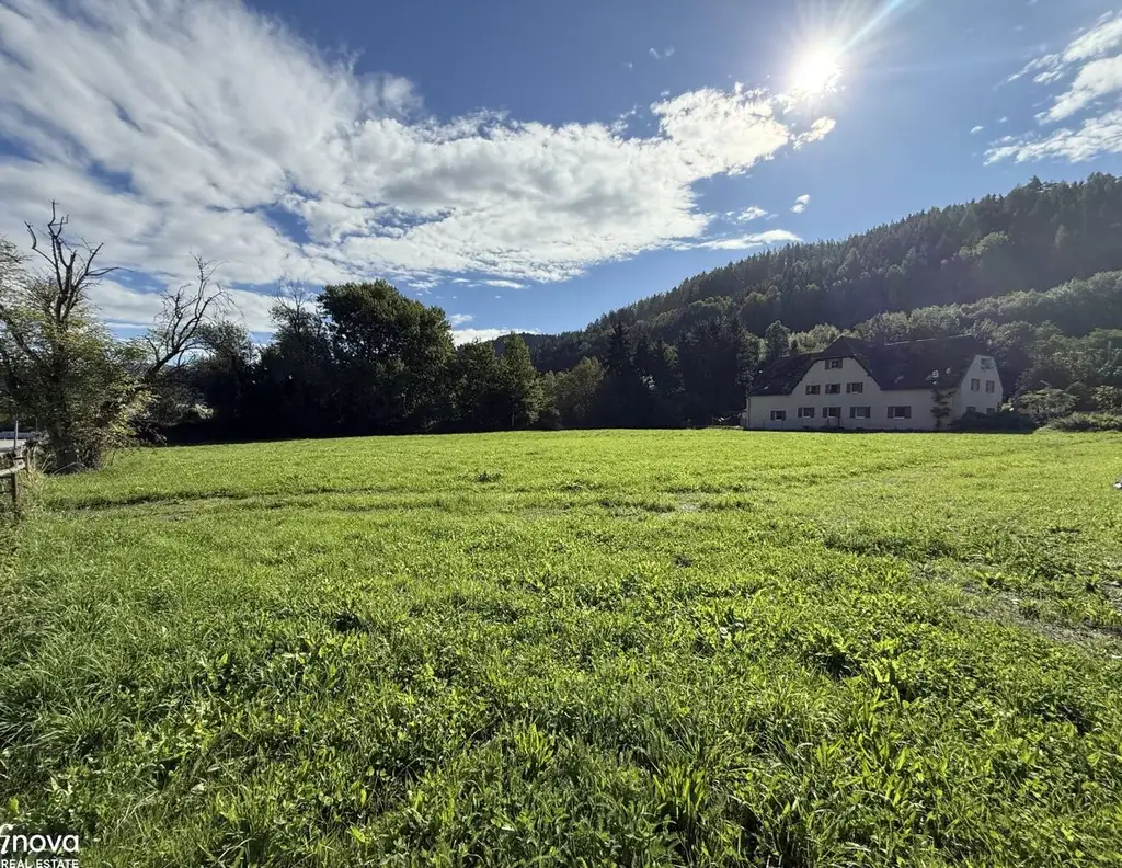 Baugrundstück im Grenzkataster - 3.830 m² in sonniger Lage - Niklasdorf / Waltenbach!!