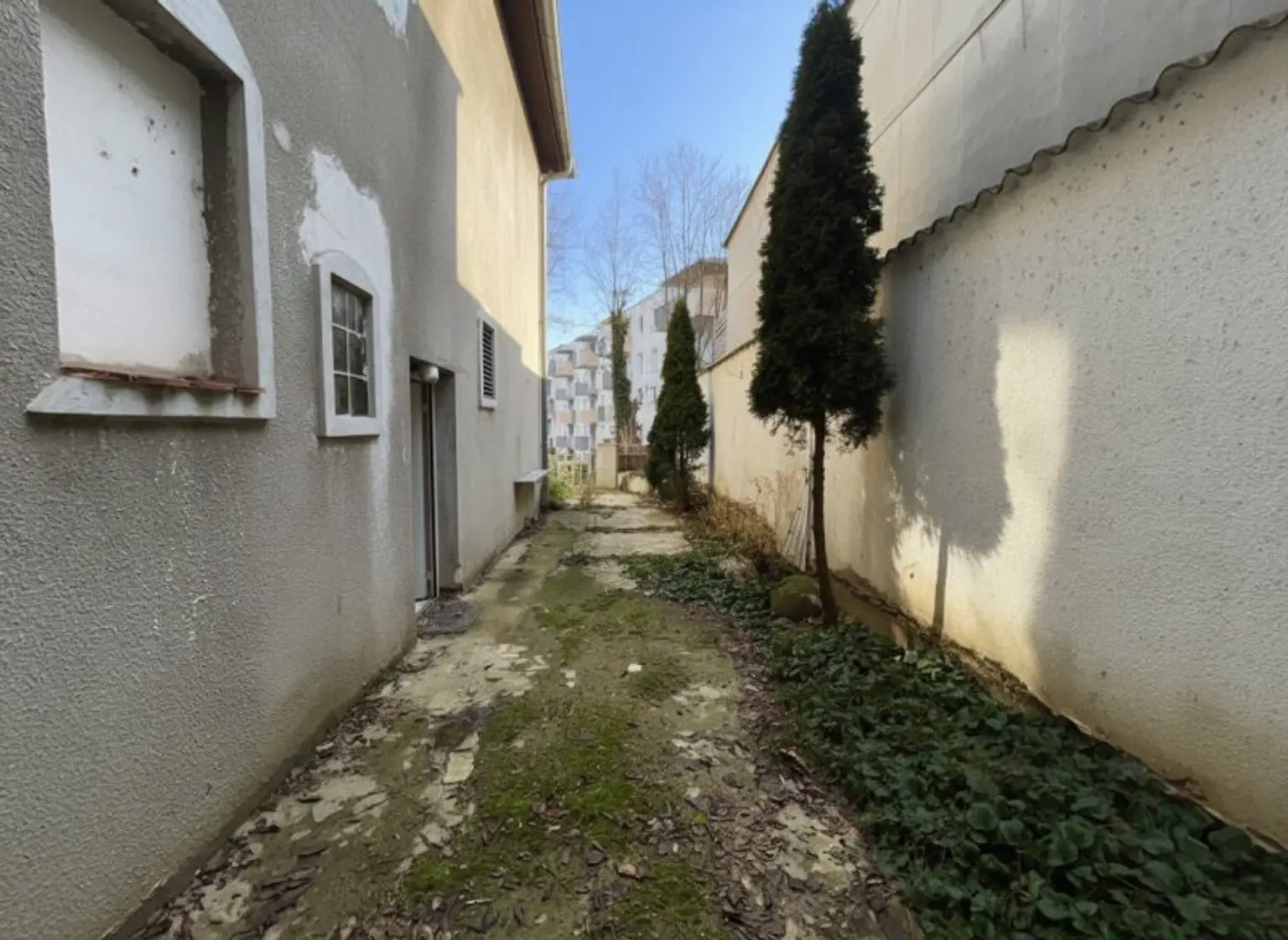 Vorgarten / Südeingang