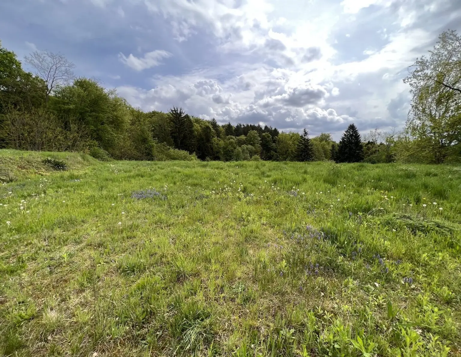 Baugrundstück in Sinabelkirchen - Ruhig, sonnig & zentrumsnah