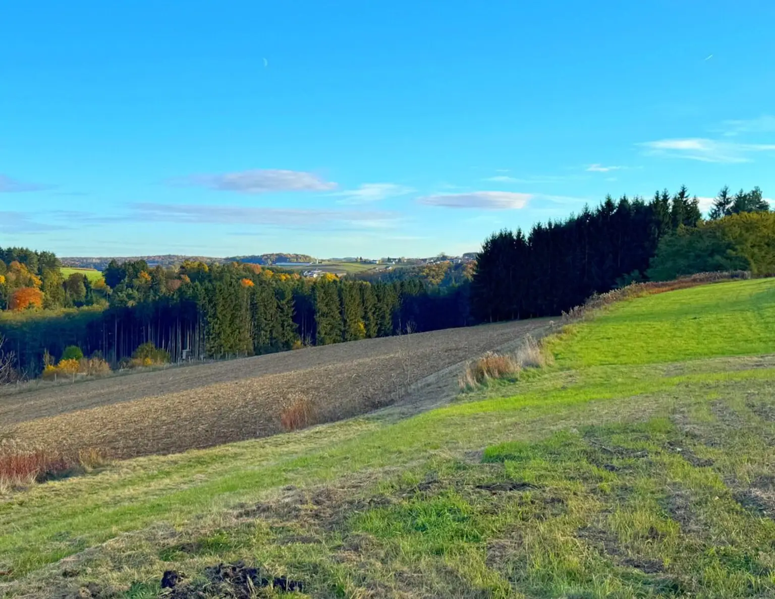 Sonniger Baugrund in STEGERSBACH mit genug Grünland und Wald