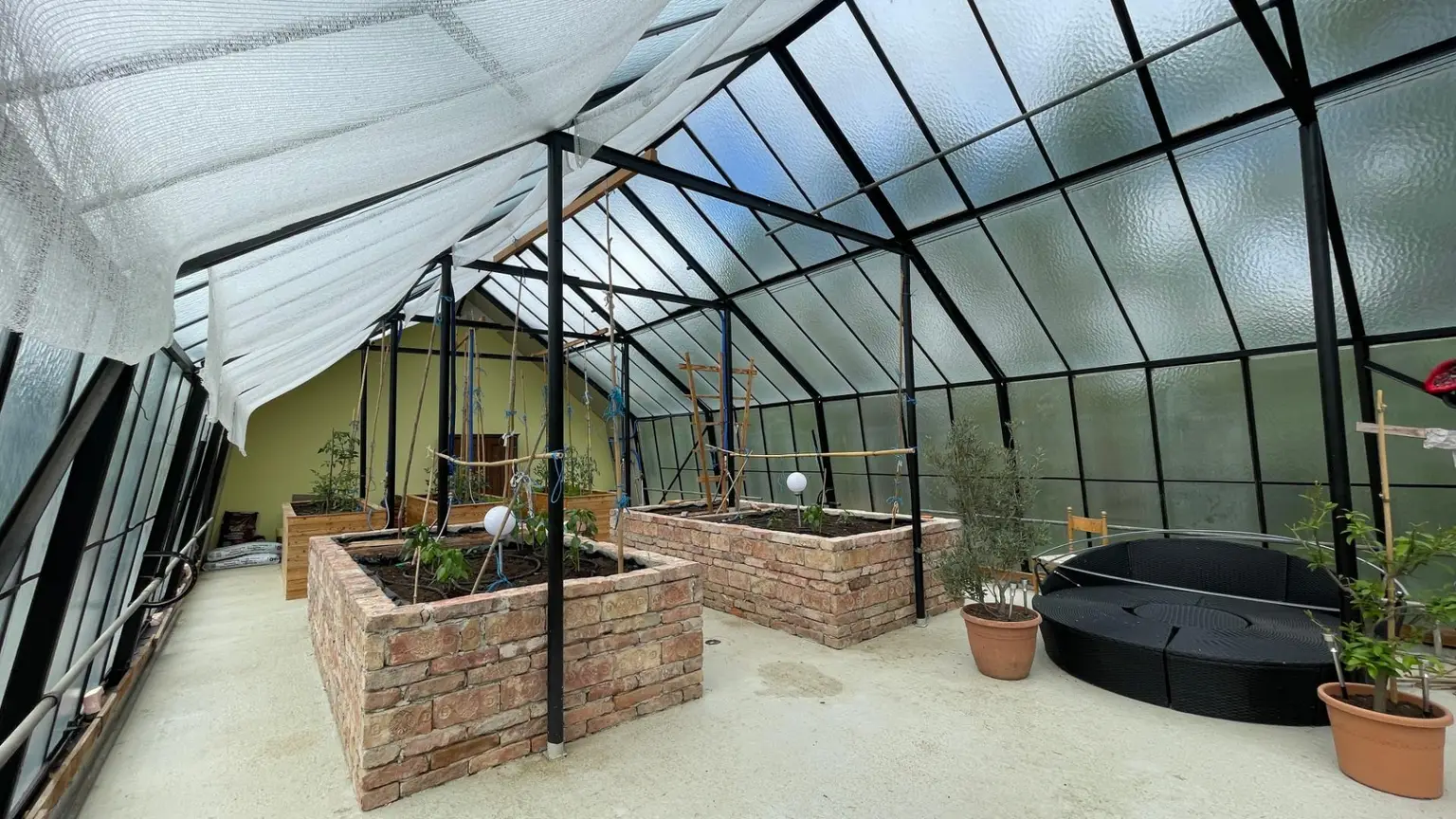 Glashaus