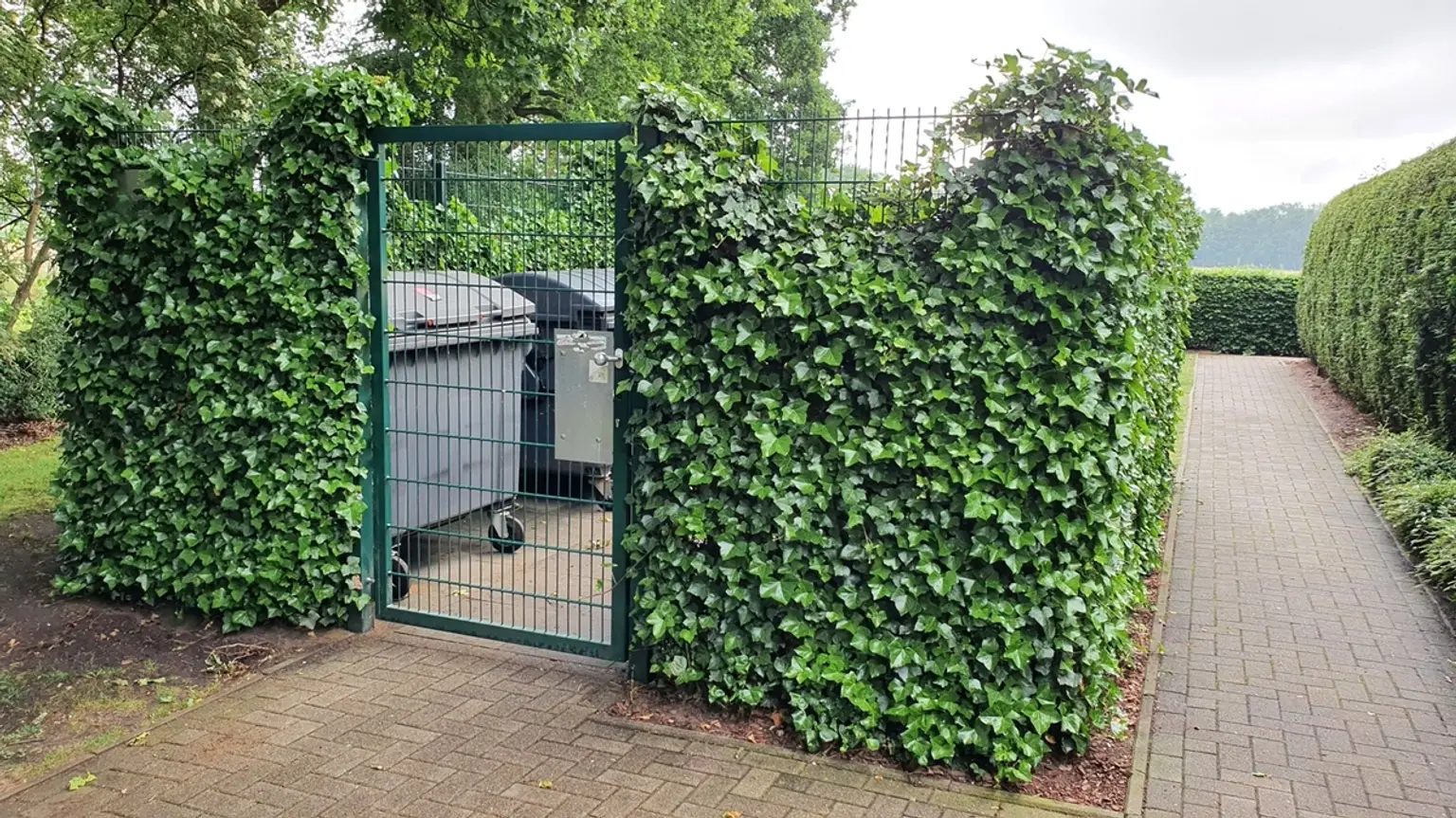 Gut getarnte Müllcontainer